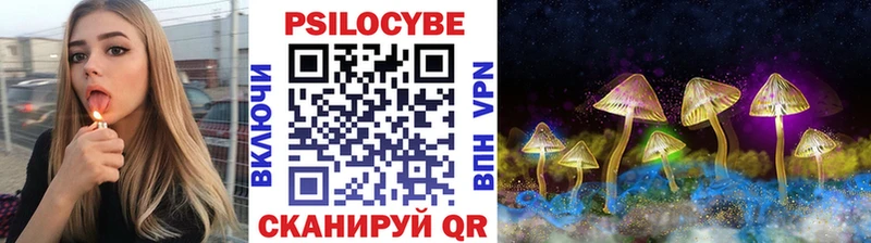 Галлюциногенные грибы мицелий  купить наркотики цена  Вилючинск 